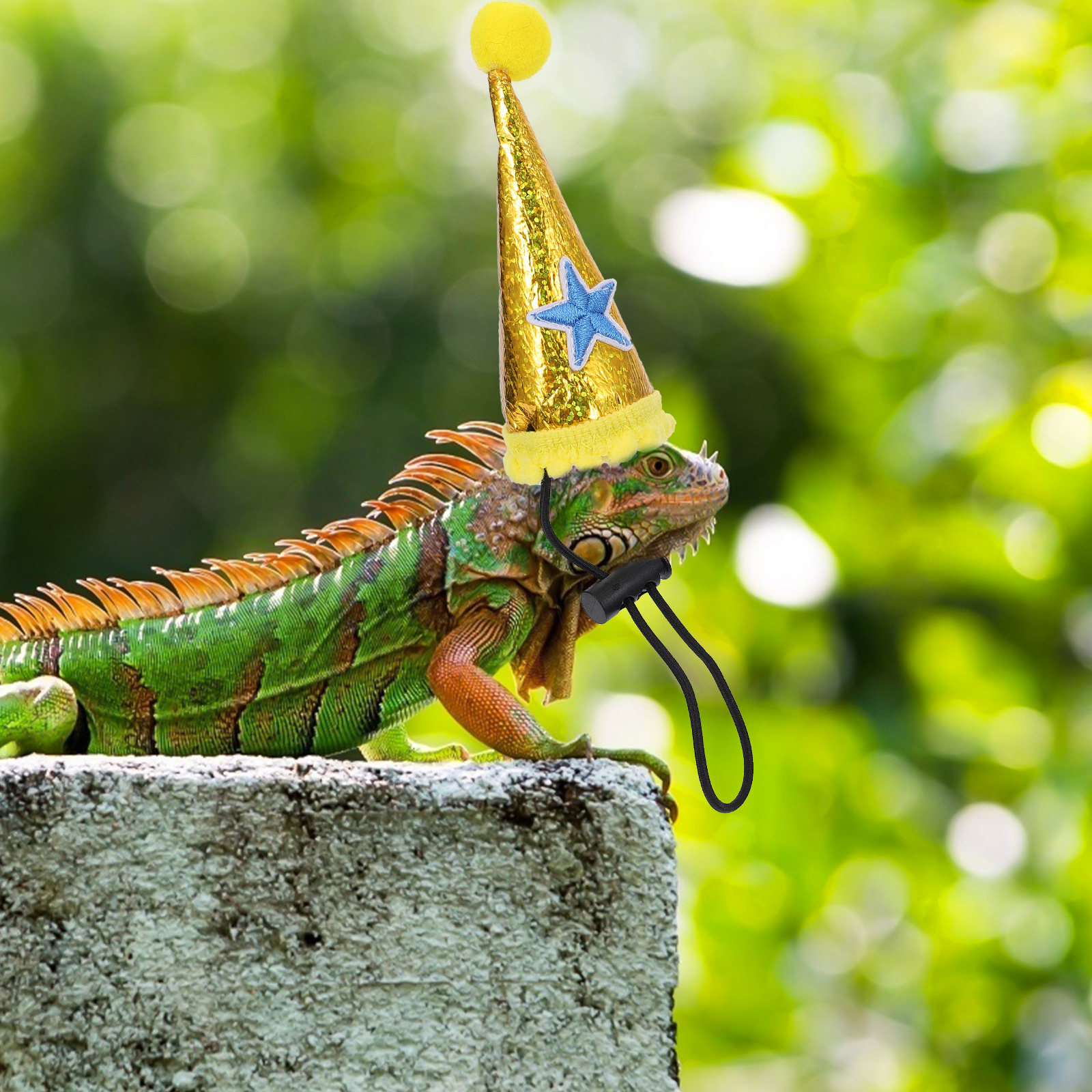 Party Hat Cone - ハロウィーン用ペット用トカゲ帽子1個。柔らかい生地で、サイズ調整可能、軽量。コスチュームパーティーやクリスマス、誕生日などの装飾に。円錐形の帽子。