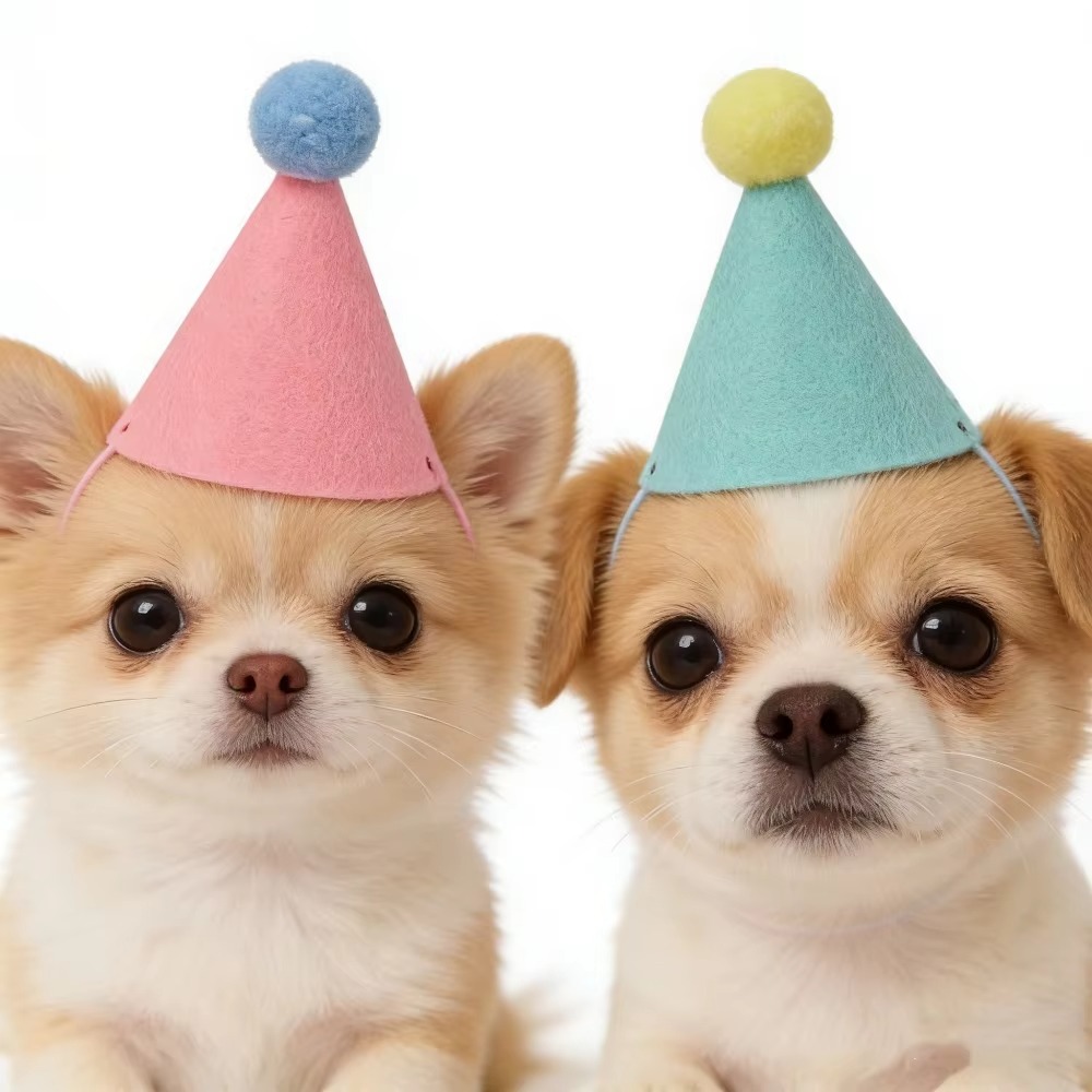6個または12個入りのかわいいミニペット用パーティーハット。 - Party Hat Cone のレビューと価格
