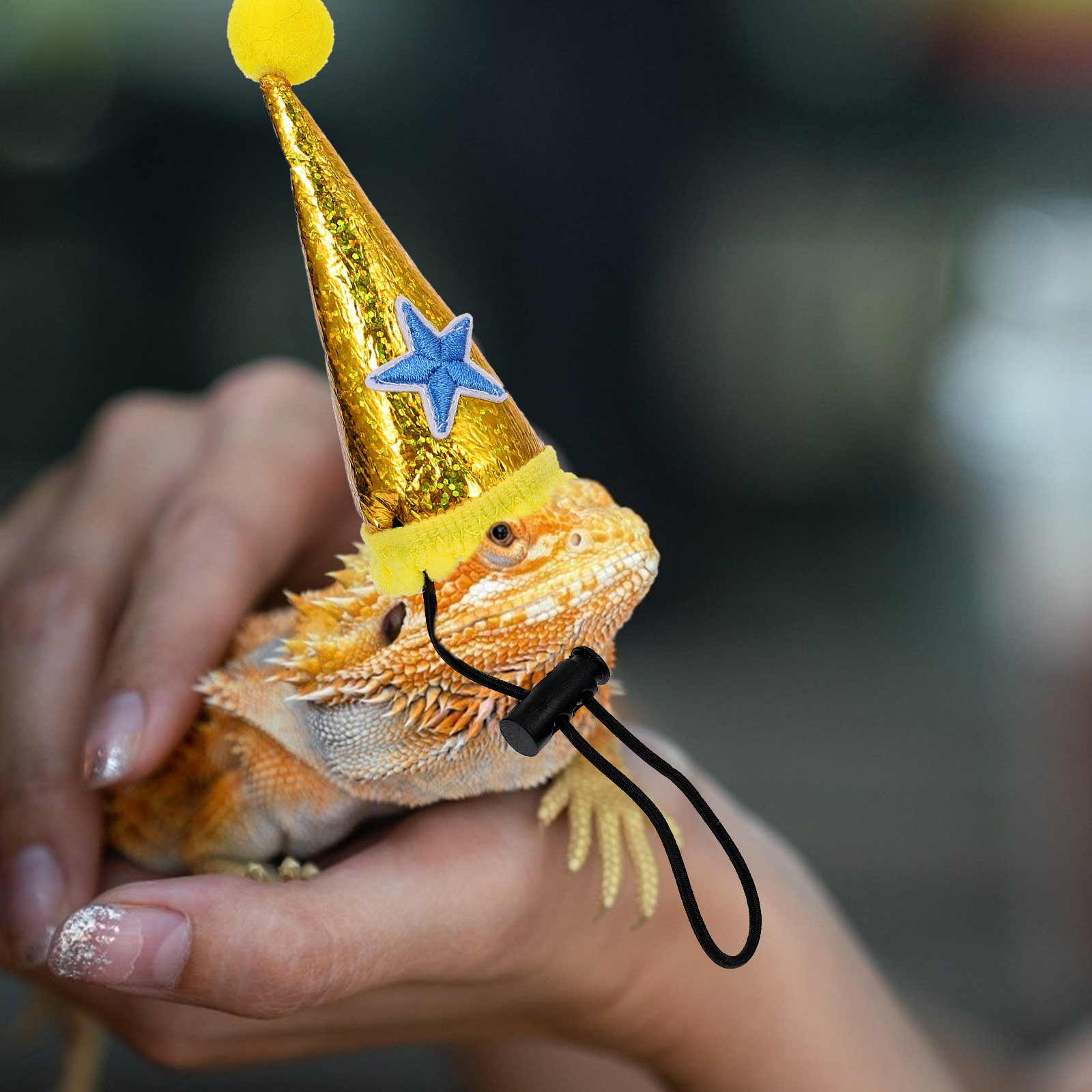 ハロウィーン用ペット用トカゲ帽子1個。柔らかい生地で、サイズ - Party Hat Cone のレビューと価格